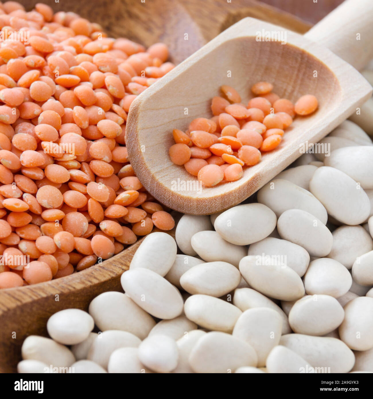 Rote Linsen und weiße Bohnen Stockfoto