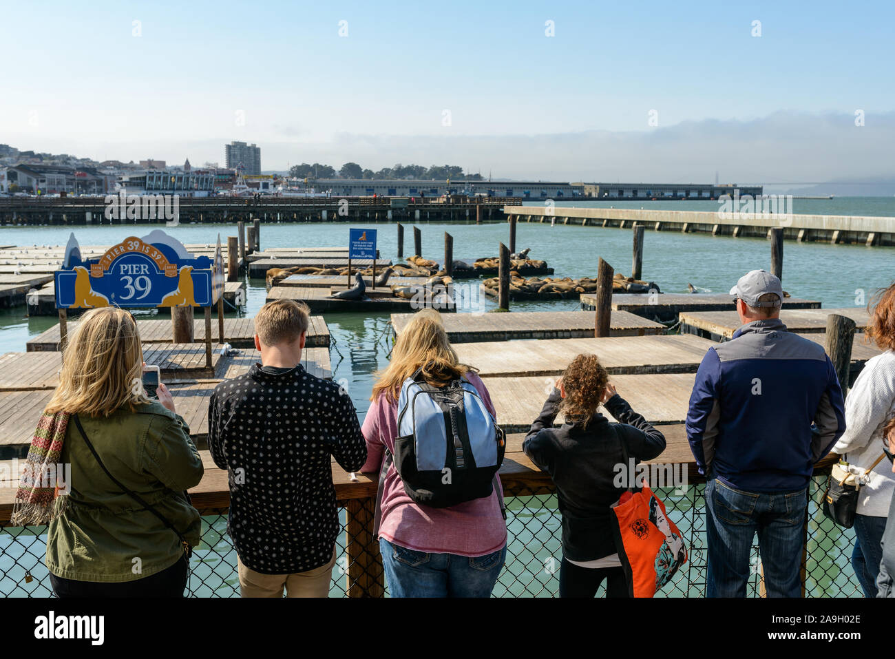 San Francisco, CA, USA - 10/18/2017: Touristen beobachten die weltberühmten Seelöwen am Pier 39. Stockfoto