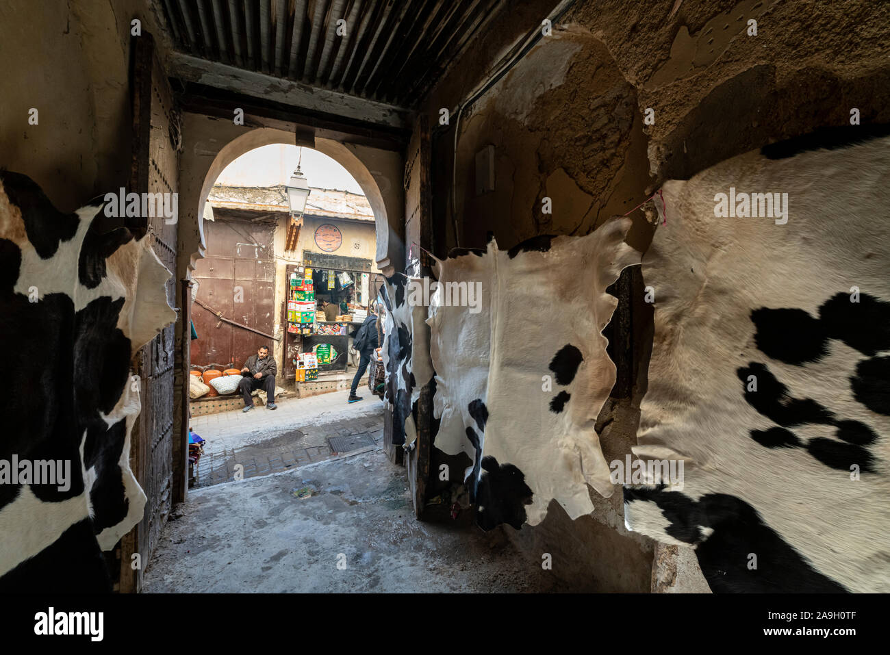 Fez, Marokko. 9. November 2019. Die Felle von Tieren, die in den Gassen der Medina ausgesetzt Stockfoto