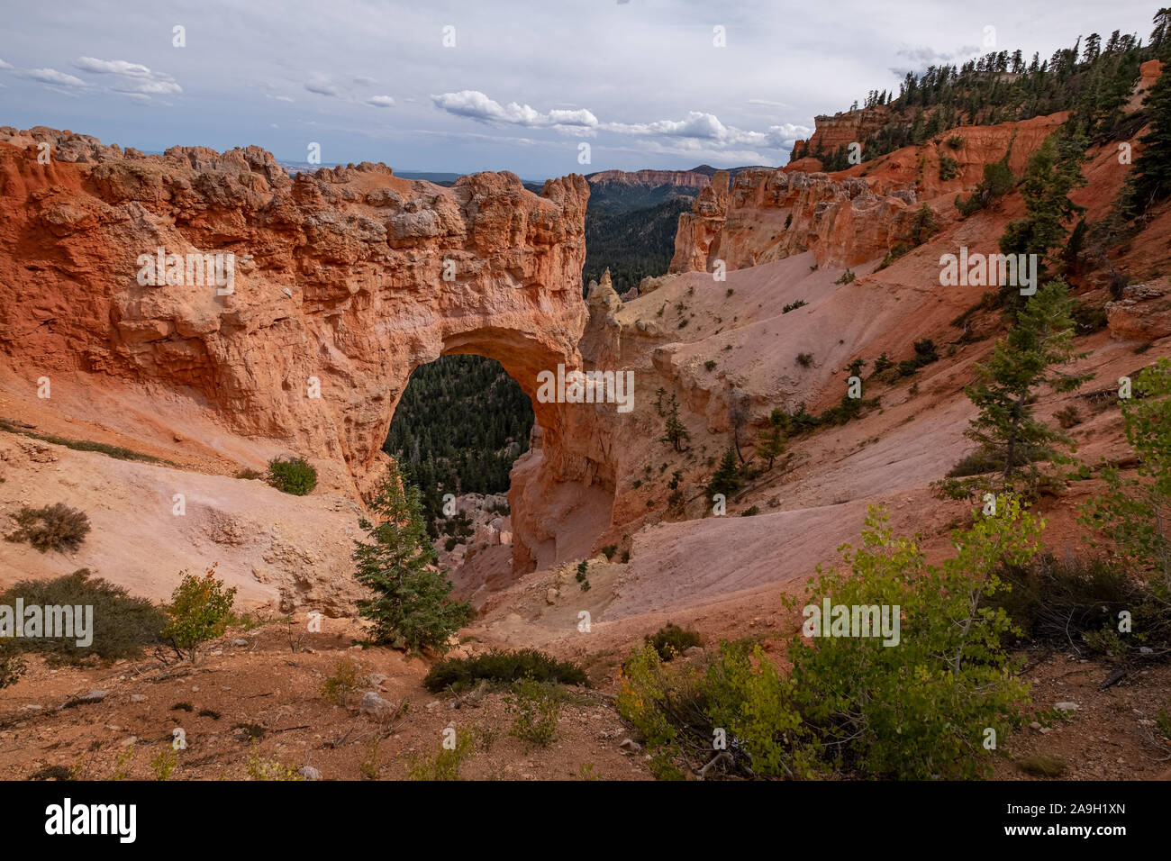 Blick auf die Felsformation und den Wolkensky im Bryce Canyon Nationalpark, Utah USA Stockfoto