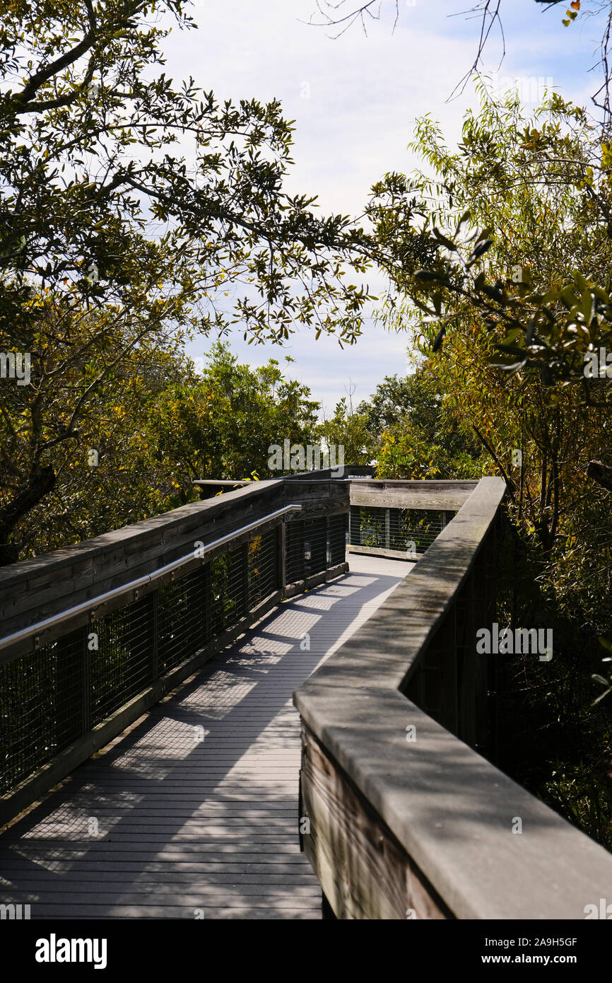 Holzsteg durch Scheuern Wald zum Strand am Deer Lake State Park führende in der Florida Panhandle, USA. Stockfoto