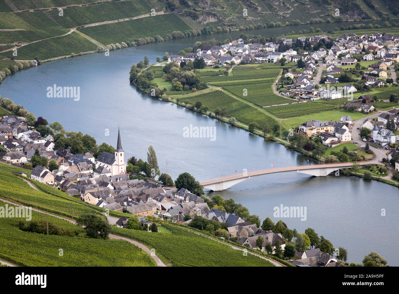 Der Mosel (Moselle) Wicklung zwischen Piesport Niederemmel und mit der berühmten Weinberge, die nach Süden ausgerichteten Hänge Stockfoto