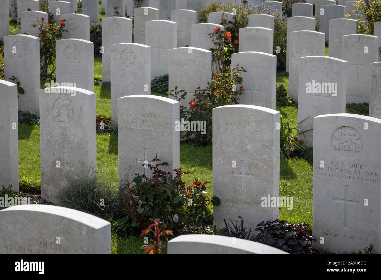 Einige der makellos gepflegt Gräber innerhalb des Commonwealth War Graves Commission (Cwgc) Tyne Cot Soldatenfriedhof in Zonnebeke, Belgien Stockfoto