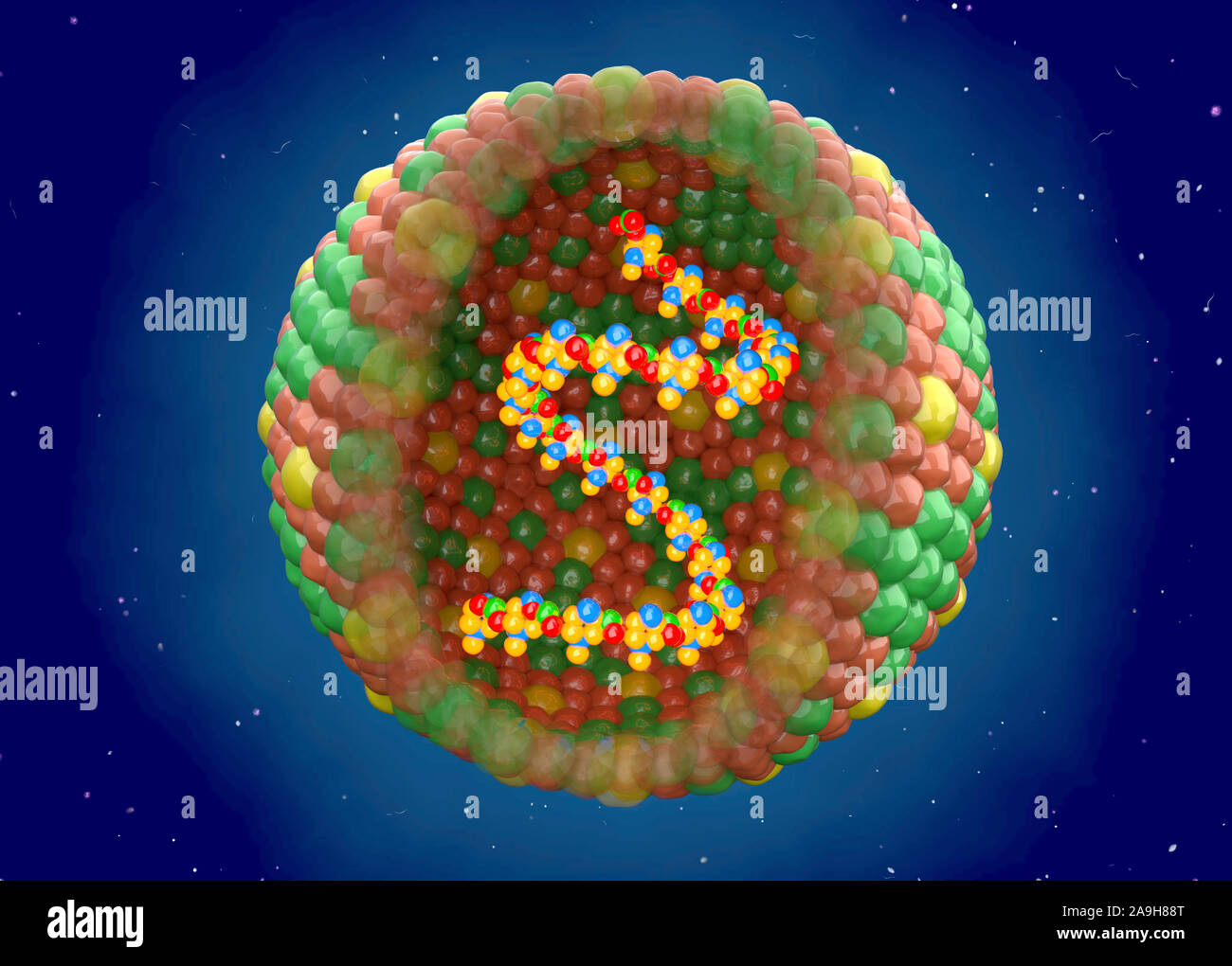 Maul- und Klauenseuche Virus, Abbildung Stockfoto