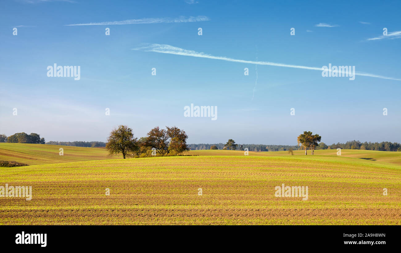 Panoramablick auf das Ackerland Landschaft im Herbst. Stockfoto