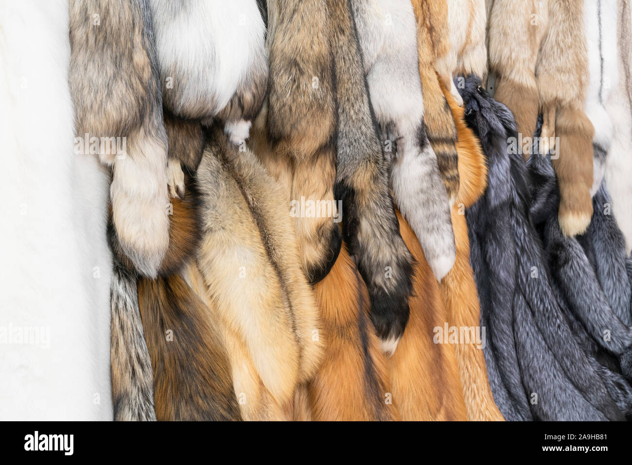Pelz Fell ist beliebt bei Menschen im Winter ist es warm und schönen Winter Kleidung. Aber es gibt auch andere Optionen für Kaltstarthilfe Kleidung nicht Stockfoto