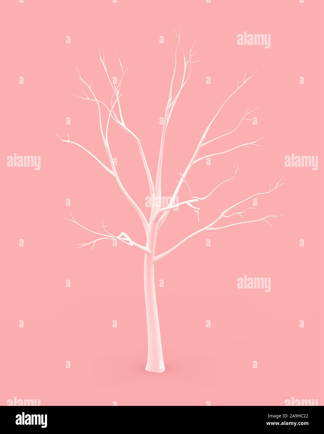 Weiß Winter Baum ohne Blätter auf rosa Hintergrund. 3D-Rendering. Stockfoto