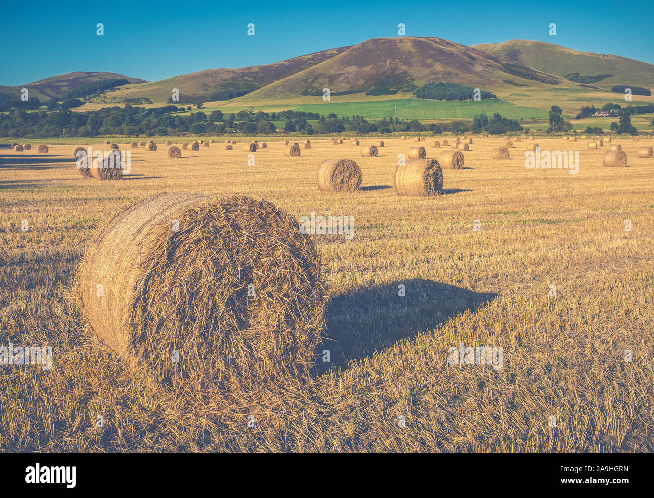 Großbritannien Landwirtschaft Bild einer Runde Strohballen auf einem Schottischen Bauernhof Stockfoto
