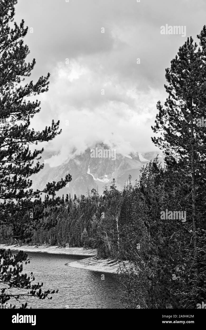 Blick zwischen hohen Bäumen auf See und Küste, Wald dahinter. Stockfoto