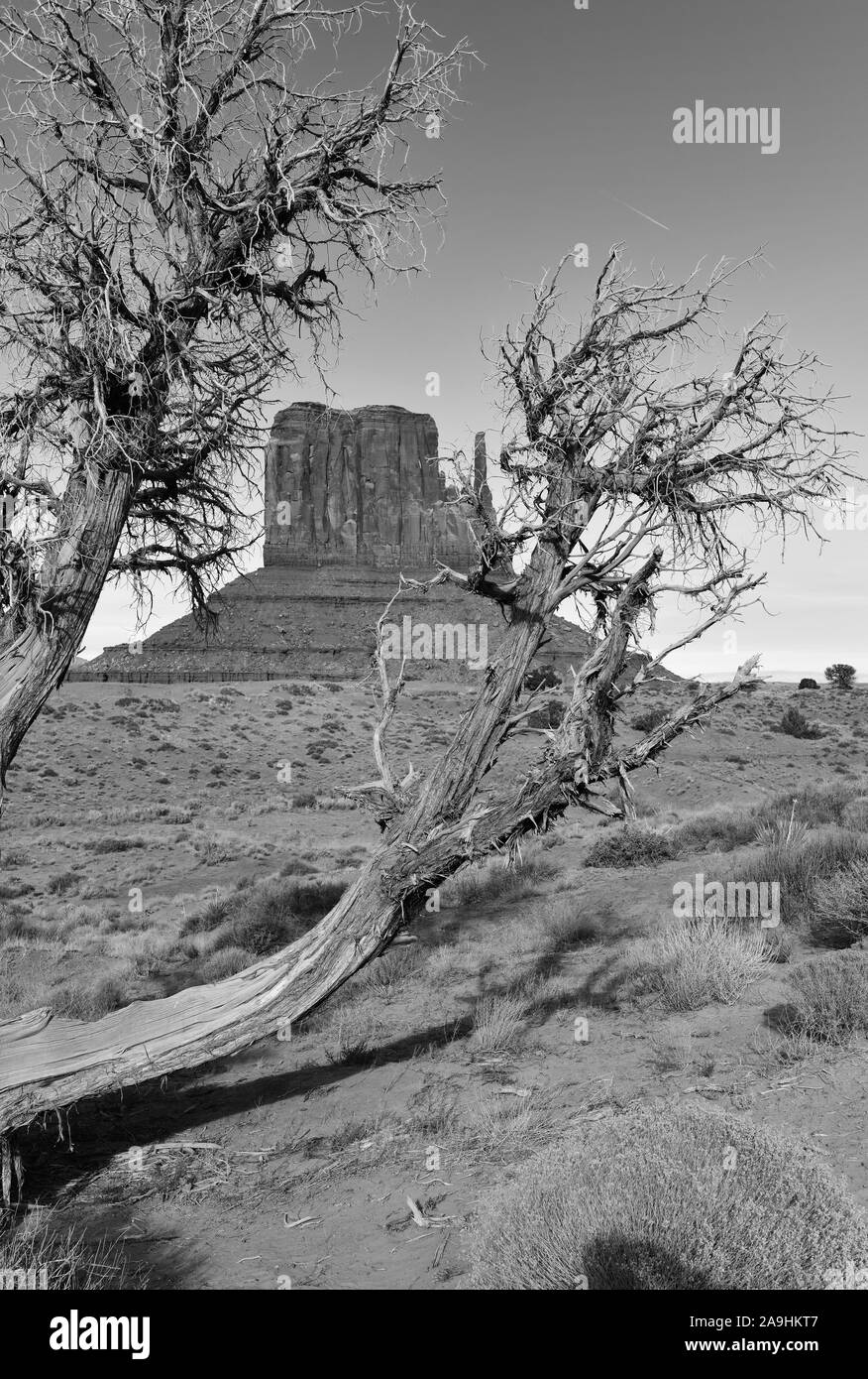 Die Wüste Landschaft des Monument Valley, Navajo Tribal Park im Südwesten USA in Arizona und Utah, Amerika Stockfoto