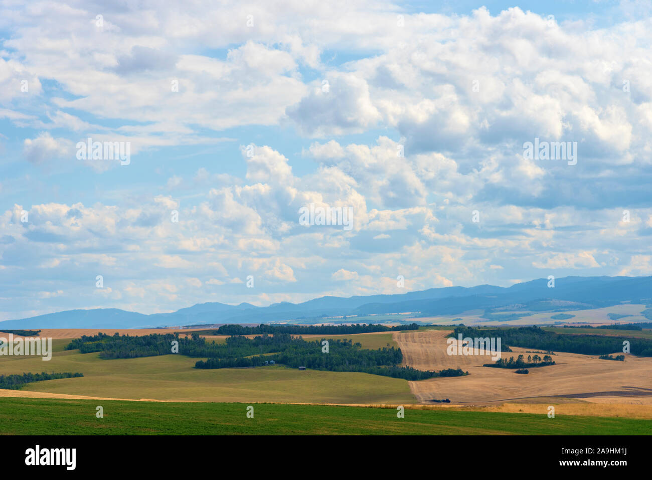 Blick über grüne und goldene Felder von Ackerland mit weit entfernten, duftigen Bergen unter blauem bewölktem Himmel. Stockfoto