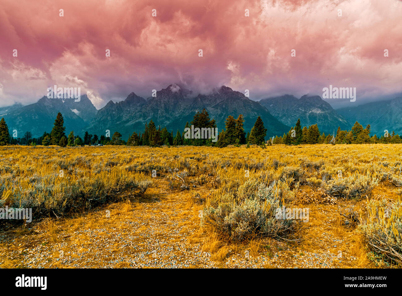 Offene Felder von Sagebürsten geben Bäumen und hohen Rocky Mountains auch unter rötlichen Wolken den Weg. Stockfoto