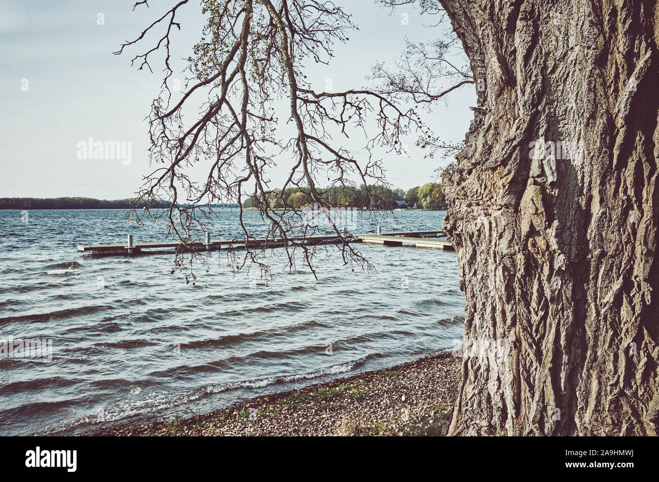 Alter Baum durch einen See, retro Farbe getonte Bild. Stockfoto