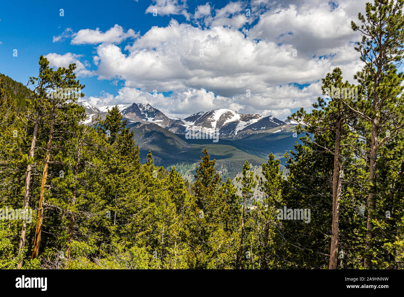 Ein Panorama der Rocky Mountain National Park in Colorado von Fall River Road. Stockfoto