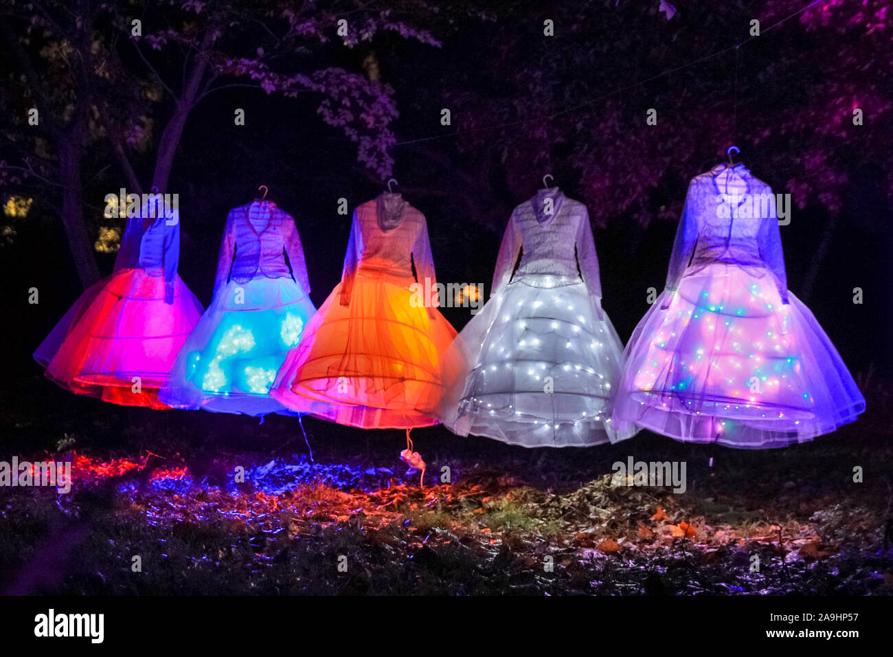 Syon Park, London, Großbritannien, 15. November 2019. Eine Reihe von schön beleuchteten Kleider. Illuminationen Der verzauberte Wald" im Syon Park und rund um den historischen Syon House wieder öffnet für die Öffentlichkeit mit einer Spur der schön beleuchteten Szenen rund um den Park und das historische Syon House mit seiner großen Wintergarten und Lasershow im Inneren. Verzauberte Wälder wird geöffnet, freitags, sonntags 15. Nov, 1. Dez, 2019. Credit: Imageplotter/Alamy leben Nachrichten Stockfoto