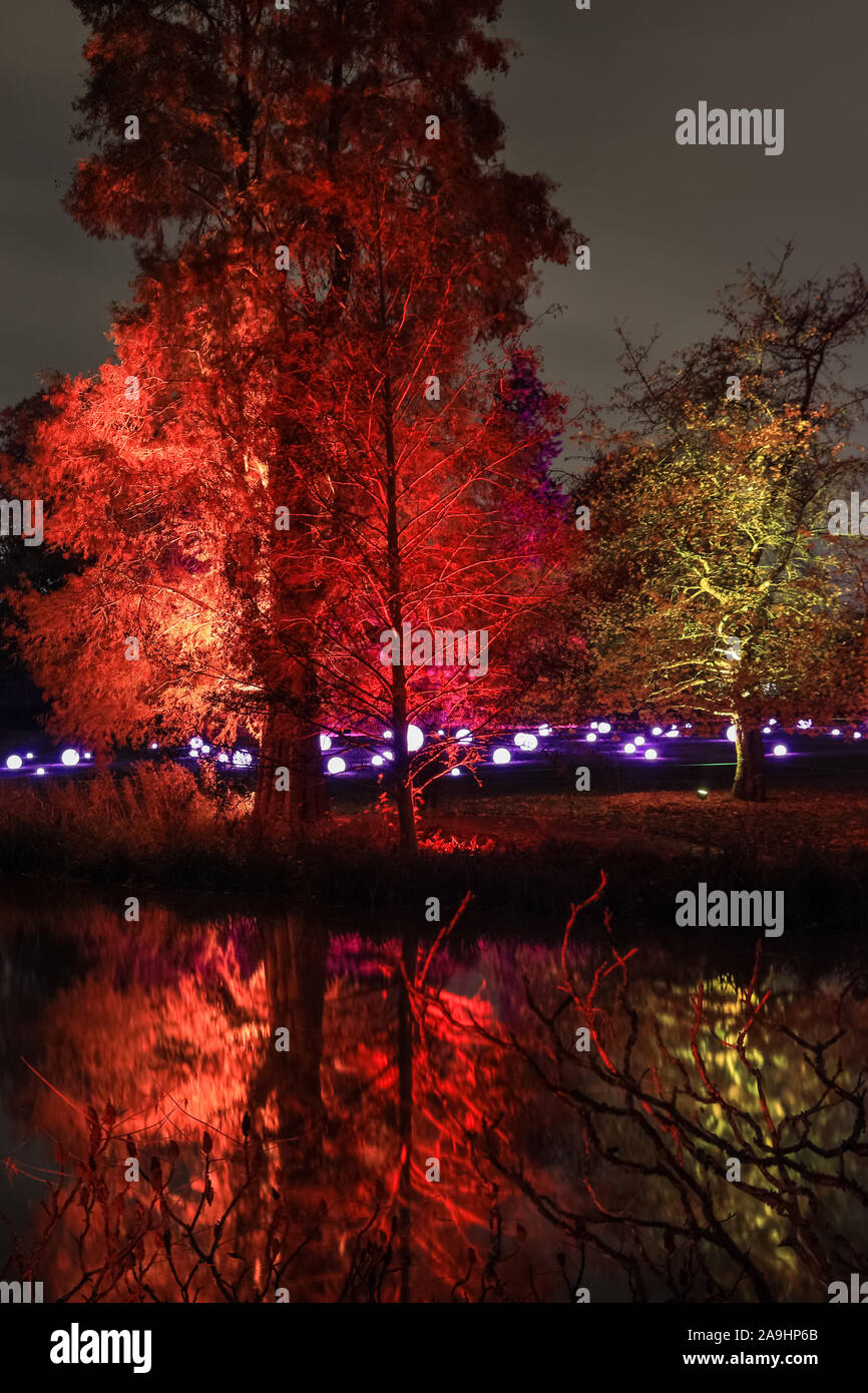 Syon Park, London, Großbritannien, 15. November 2019. Illuminationen Der verzauberte Wald" im Syon Park und rund um den historischen Syon House wieder öffnet für die Öffentlichkeit mit einer Spur der schön beleuchteten Szenen rund um den Park und das historische Syon House mit seiner großen Wintergarten und Lasershow im Inneren. Verzauberte Wälder wird geöffnet, freitags, sonntags 15. Nov, 1. Dez, 2019. Credit: Imageplotter/Alamy leben Nachrichten Stockfoto