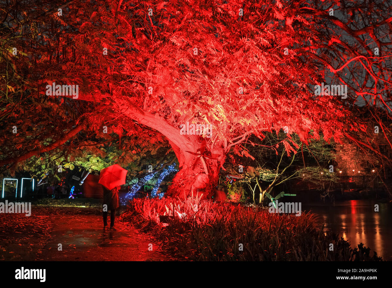 Syon Park, London, Großbritannien, 15. November 2019. Illuminationen Der verzauberte Wald" im Syon Park und rund um den historischen Syon House wieder öffnet für die Öffentlichkeit mit einer Spur der schön beleuchteten Szenen rund um den Park und das historische Syon House mit seiner großen Wintergarten und Lasershow im Inneren. Verzauberte Wälder wird geöffnet, freitags, sonntags 15. Nov, 1. Dez, 2019. Credit: Imageplotter/Alamy leben Nachrichten Stockfoto