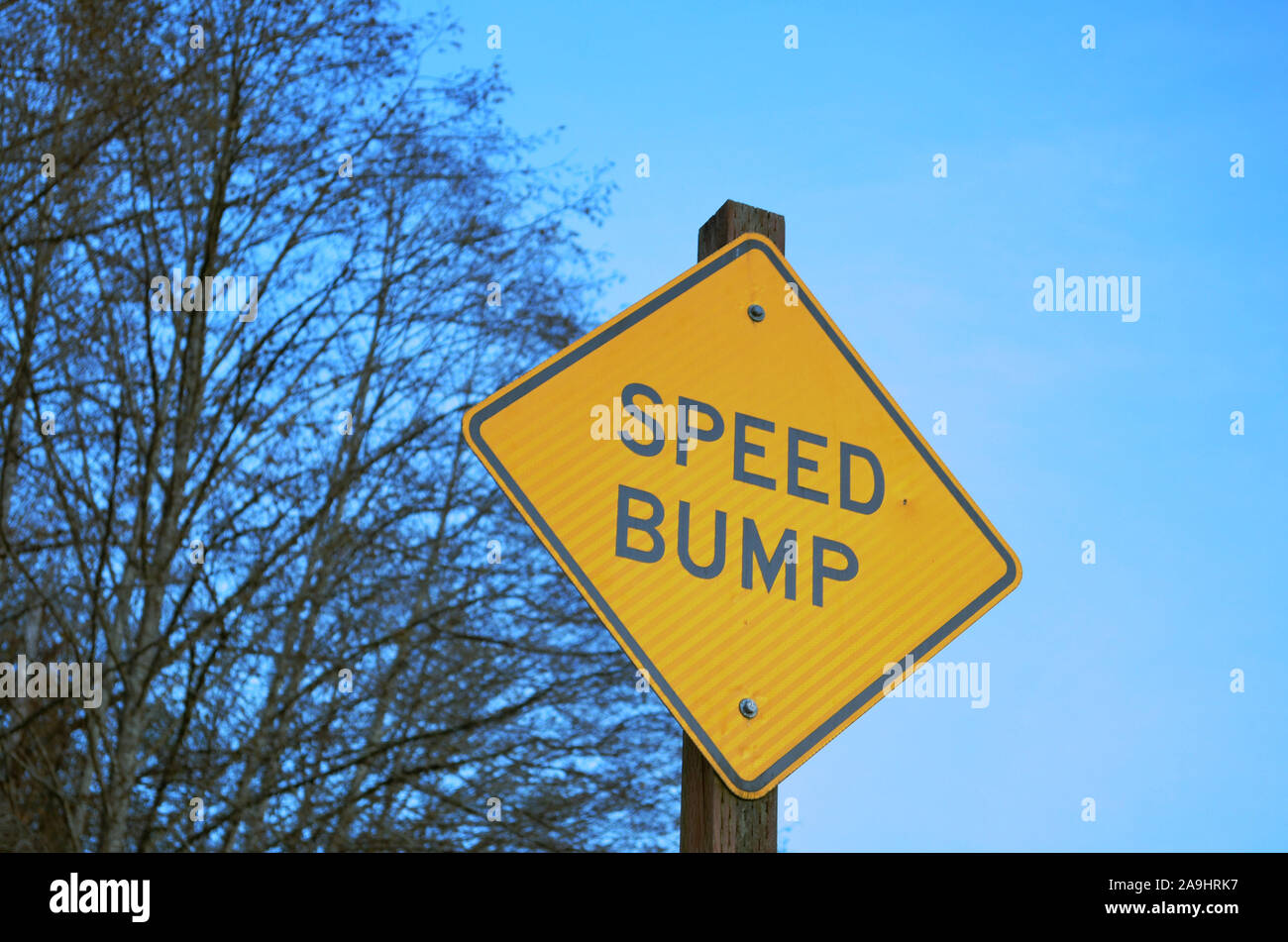 Speed Bump Zeichen in den Wäldern Stockfoto
