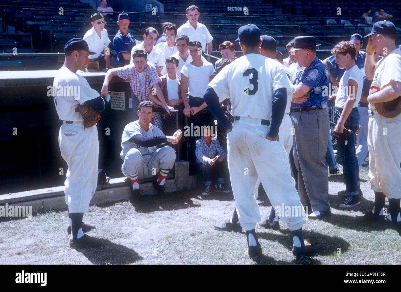 VERO Beach, FL - 18. März: Ted Williams #9 der Boston Red Sox zeigt seine Schwingen zu Fans und Spieler der Brooklyn Schwindler während des Spring Training am 18. März in Vero Beach, Florida 1956. (Foto von Hy Peskin) (Satz Anzahl: X3619) *** Local Caption *** Ted Williams Stockfoto