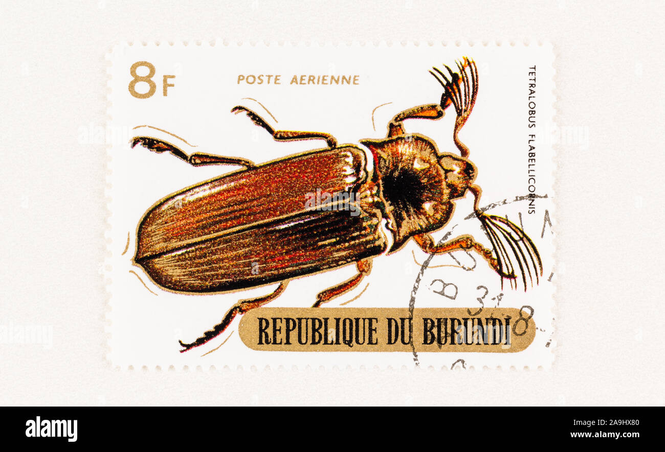 SEATTLE, Washington - 5. Oktober 2019: Tetralobus flabellicornis Käfer auf Republik Burundi Briefmarke. Scott Nr. C 111 Stockfoto