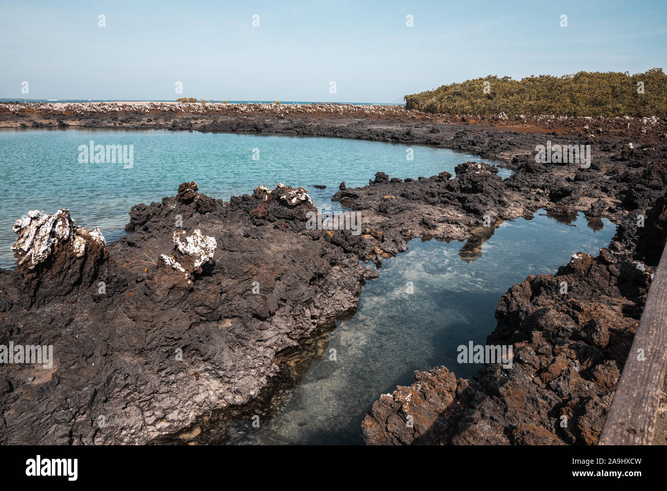 Vulkangestein, das viel von den Galapagos Inseln, schöne Formationen entlang der Küste der Insel Isabela. Stockfoto