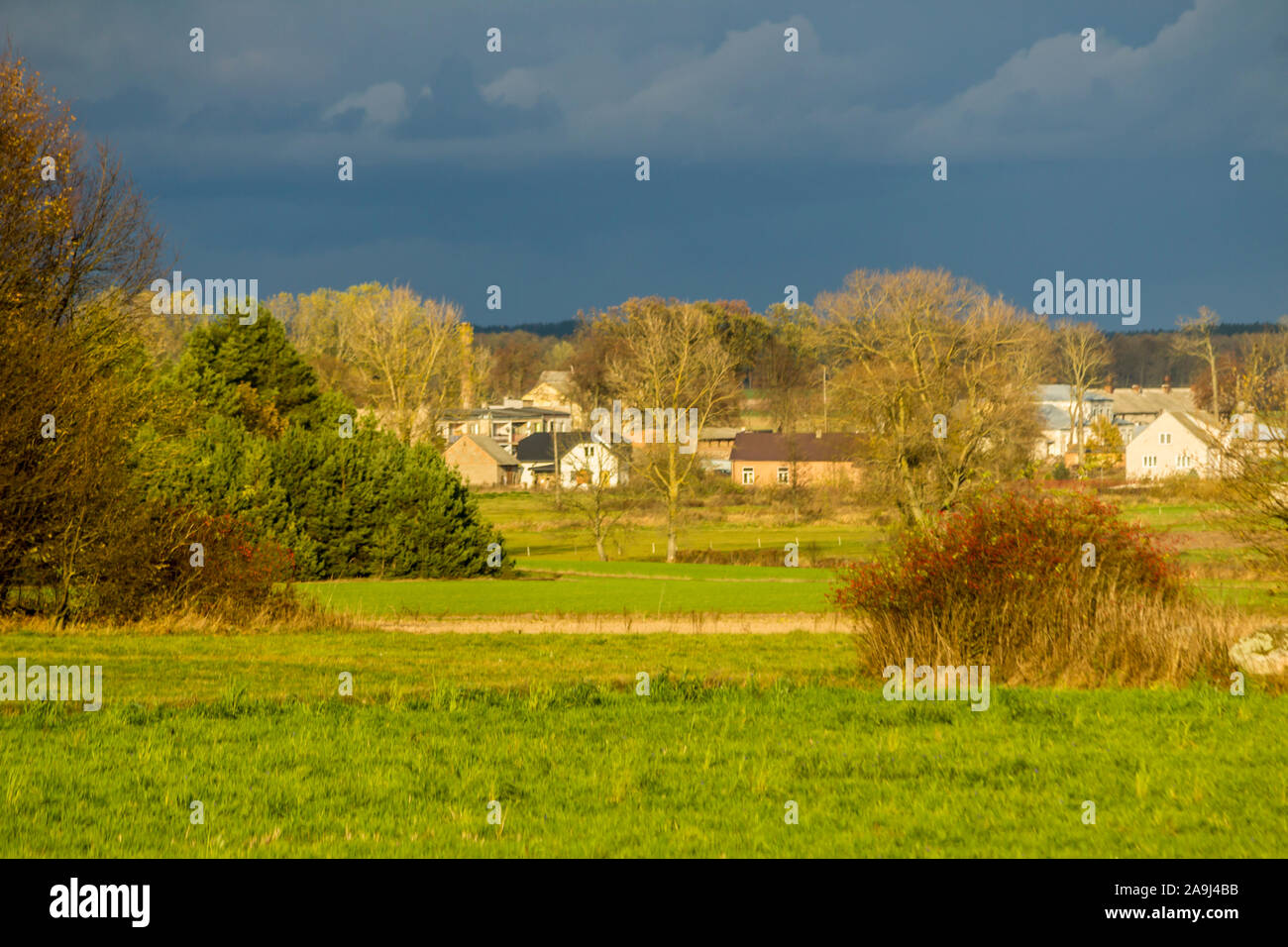 Ein Dorf inmitten von Feldern und Wiesen. Häuser und Scheunen. Kiefer, Büsche, grünen Wiese im Vordergrund. Herbst in Podlachien, Polen. Stockfoto