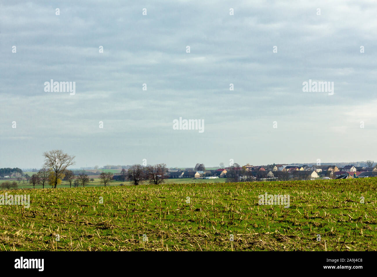 Ein Dorf inmitten von Feldern und Wiesen. Häuser, Scheunen und weißen Pyramiden von Silageballen. Gemähte Maisfeld im Vordergrund. Herbst in Podlachien, Polen. Stockfoto