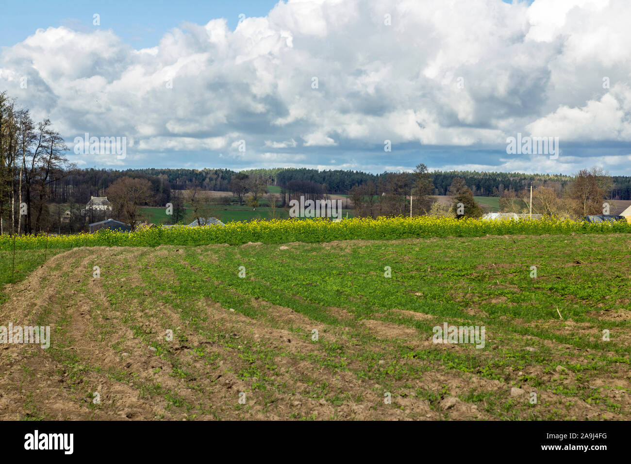 Das Dorf ist umgeben von Feldern und Wäldern. Die Dächer der Häuser und Scheunen. Grüne Wiese im Vordergrund. Herbst in Podlachien, Polen. Stockfoto