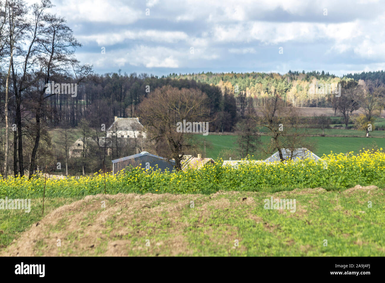 Das Dorf ist umgeben von Feldern und Wäldern. Die Dächer der Häuser und Scheunen. Grüne Wiese im Vordergrund. Close Up. Herbst in Podlachien, Polen. Stockfoto