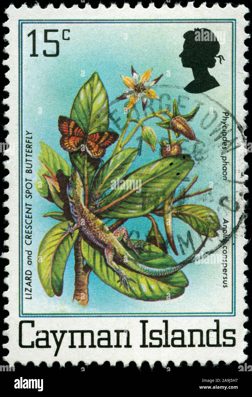 Poststempel Stempel aus der Cayman Inseln in der Tierwelt Serie 1980 ausgestellt Stockfoto
