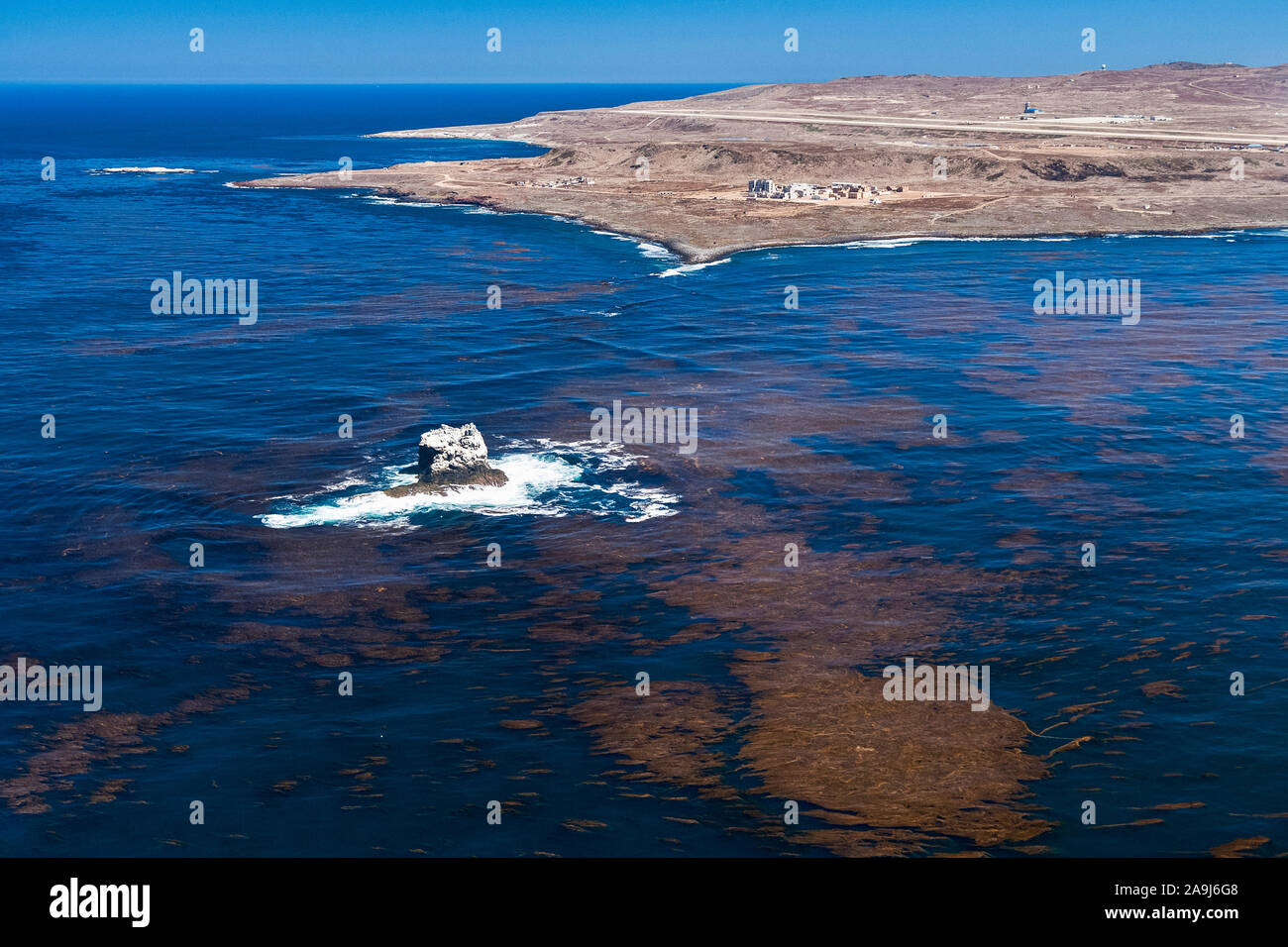 San Clemente Island und Castle Rock, Kelp Betten an der Ozeanoberfläche sichtbar. Stockfoto