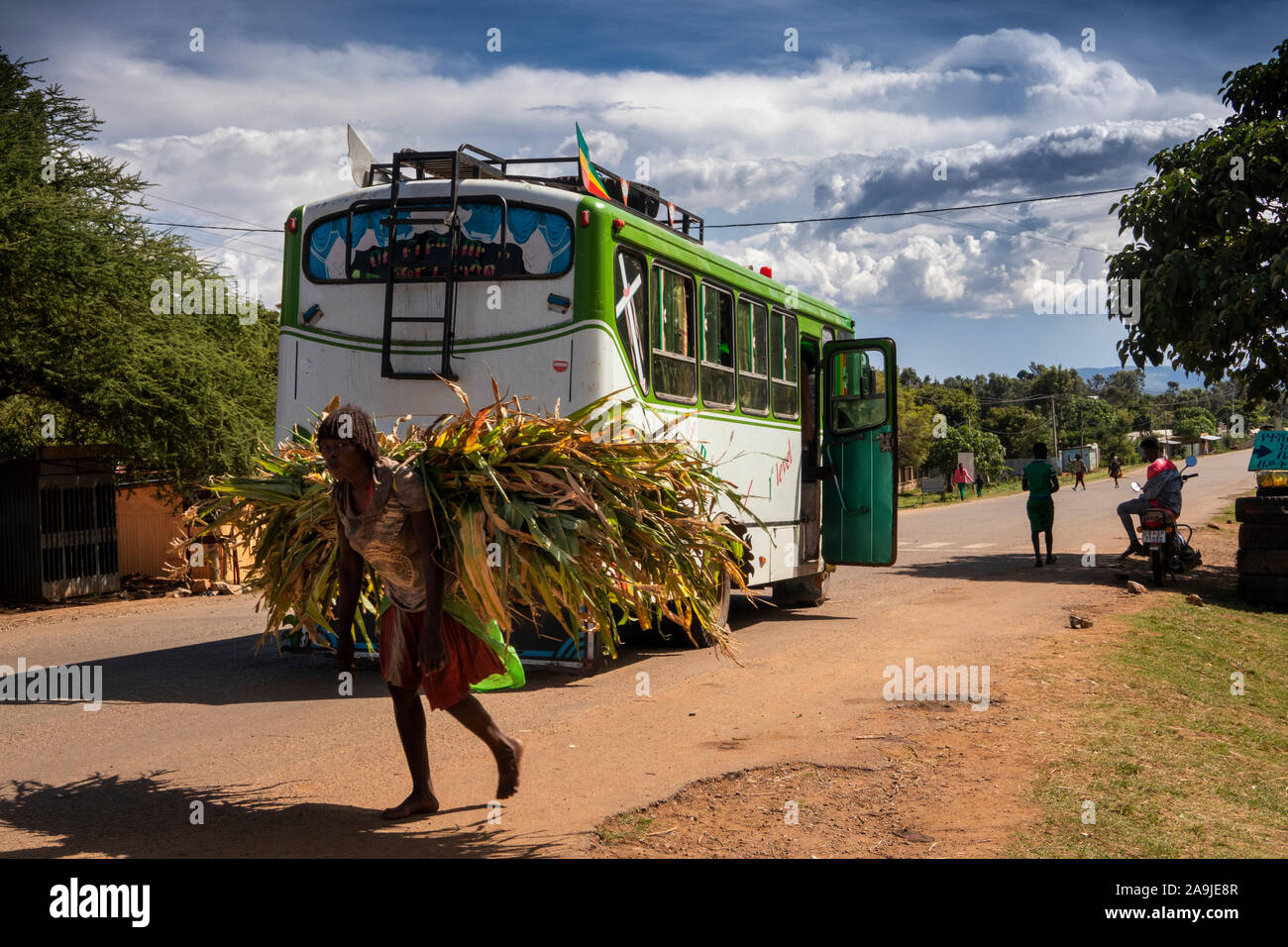 Äthiopien, South Omo, Key Afer, Banna tribal Frau, die Sorghum für Futtermittel Vergangenheit local bus Stiele Stockfoto