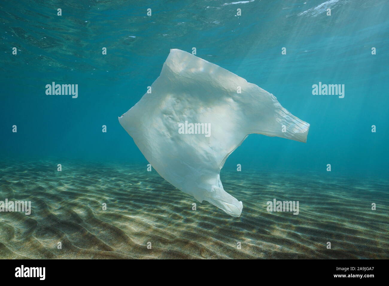 Kunststoff Verschmutzung unter Wasser, eine weiße Plastiktüte im Mittelmeer, Frankreich Stockfoto Kunststoff Verschmutzung unter Wasser, eine weiße Plastiktüte im Mittelmeer, Frankreich Stockfoto