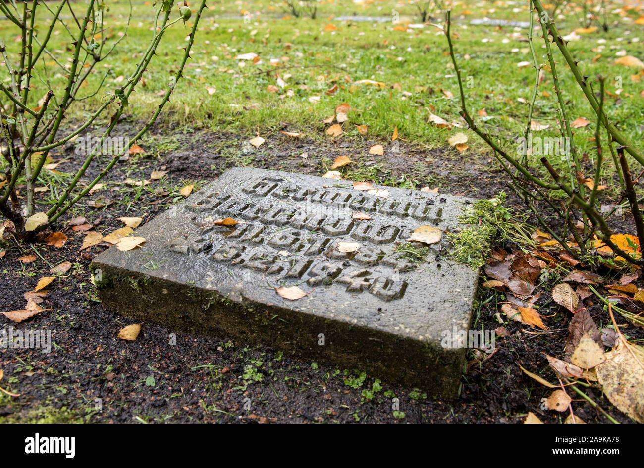 Hamburg Deutschland 16 Nov 2019 Ein Grabstein Fur Das Ehemalige Kz Kommandant Hermann Baranowski Liegt Auf Einem Krieg Grab Auf Dem Ohlsdorfer Friedhof Die Grabpflege Fur Einen Ehemaligen Kz Kommandanten Auf Dem Ohlsdorfer Friedhof
