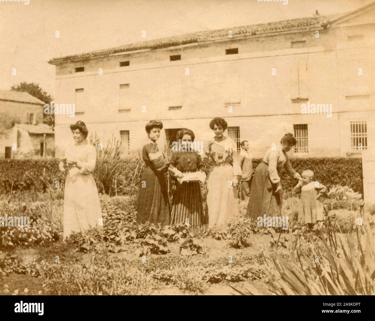 Landhaus gemüsegarten Fotos und Bildmaterial in hoher Auflösung Alamy