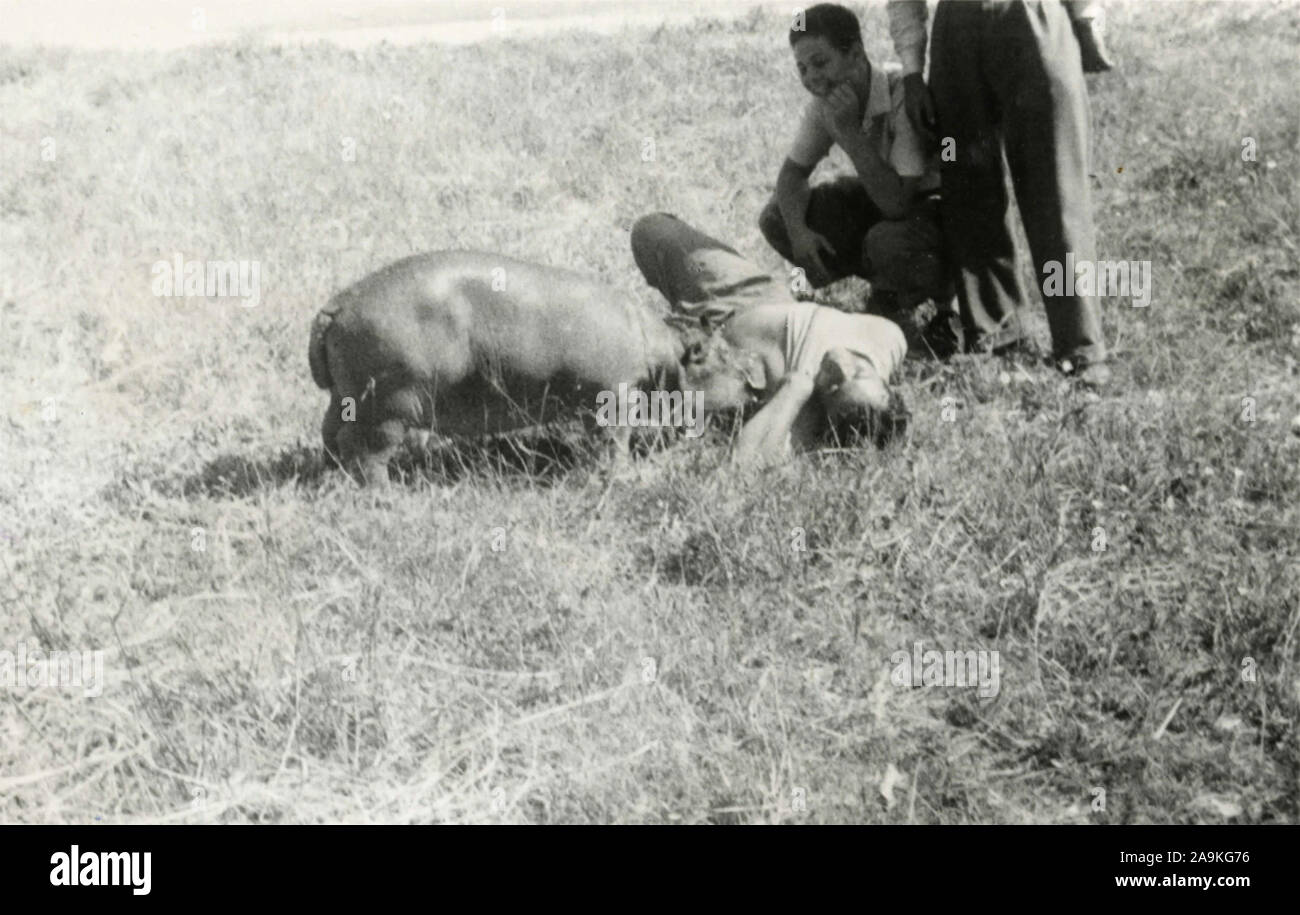 Männer spielen mit einem Baby hippopotamus Stockfoto