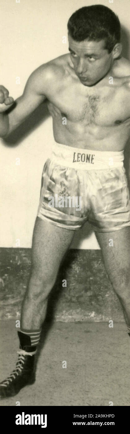 Der Boxer italienischer Gabriele Ceccangeli Stockfoto