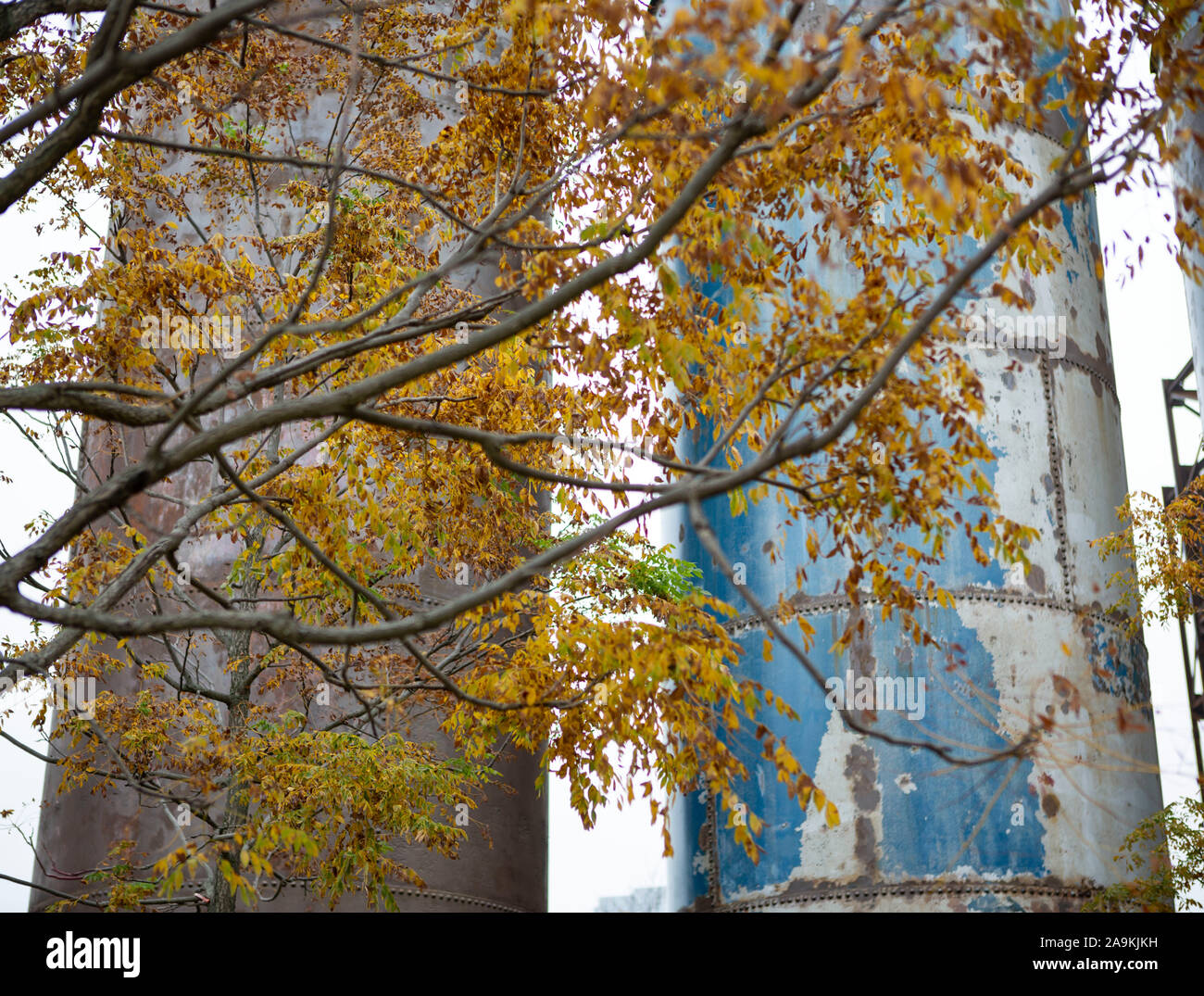 Industrieschornsteine mit Herbstlaub auf Zweig Stockfoto