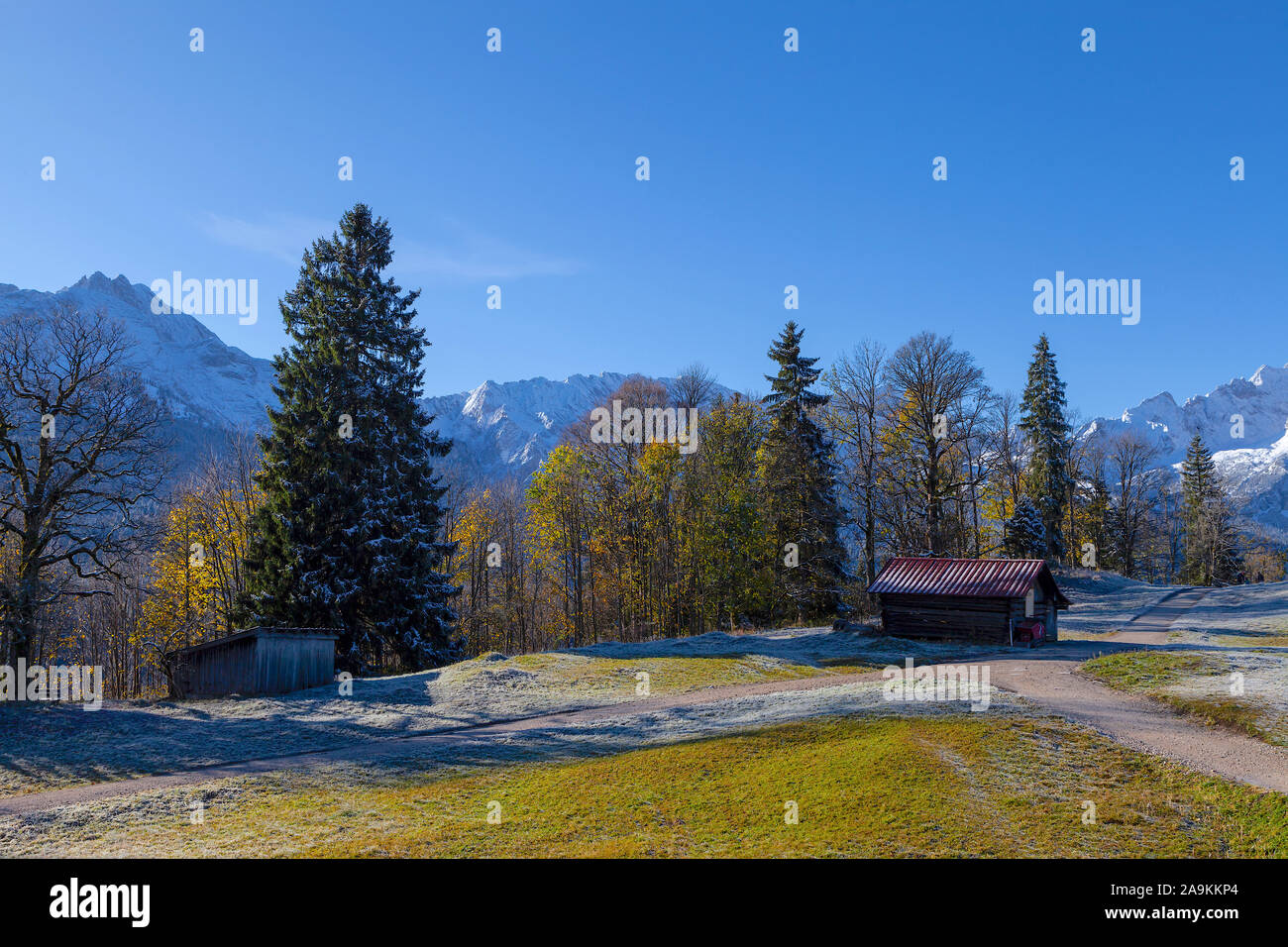 Alpine Landschaft mit bunten Bäumen und weiss verschneiten Bergen im Hintergrund Stockfoto