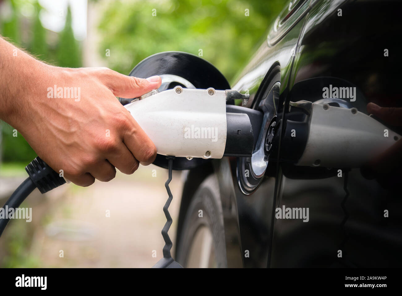 Mans Hand einfügen Ladestecker in elektrische Auto in grüner Umgebung. Neue Energie Fahrzeug, NEV wird mit Strom Strom geladen. Eg Stockfoto