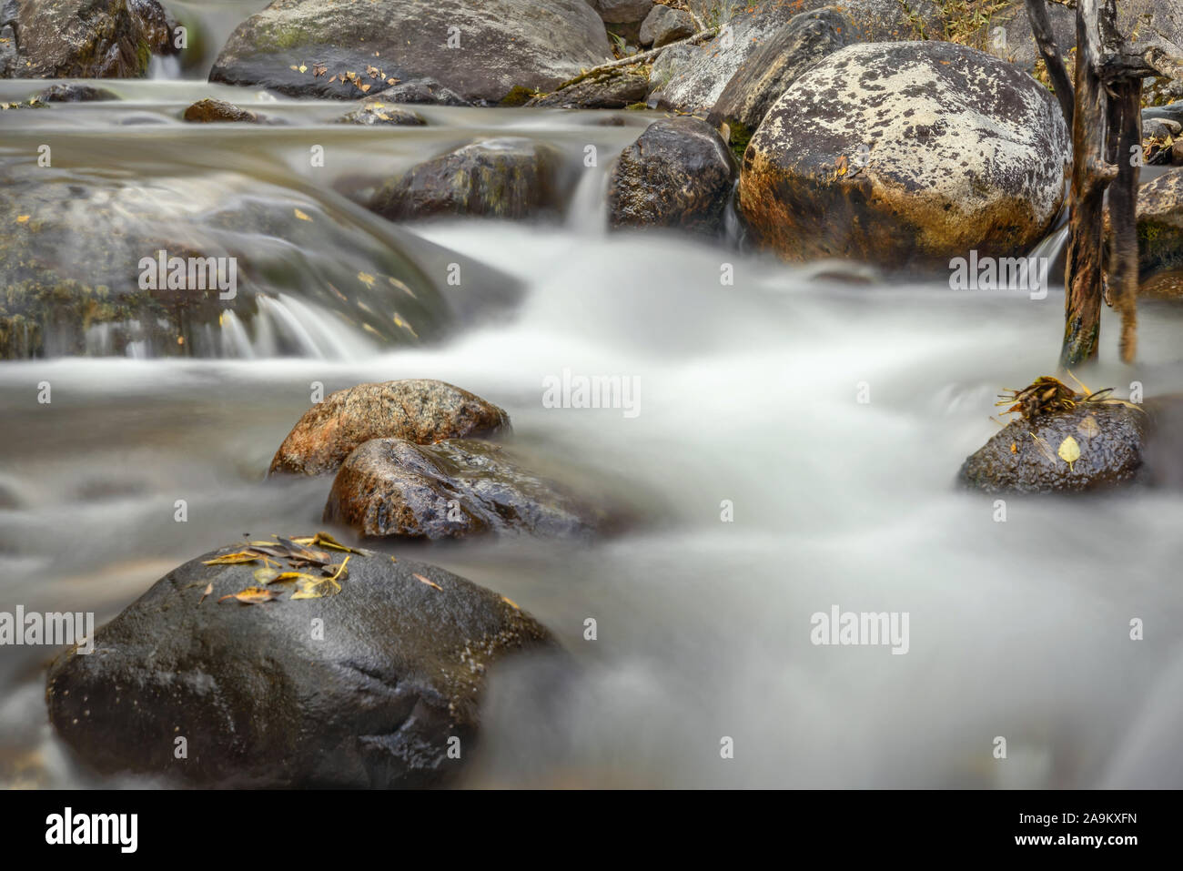 Schöne Aussicht mit glatten seidigen Wasser in eine schnelle mountain river, Steine und gefallenen Blätter im Herbst, an der langen Belichtung geschossen Stockfoto