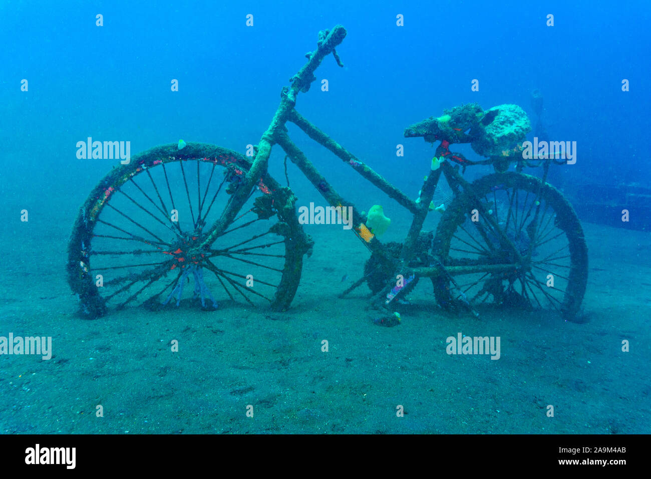 Ein Fahrrad, ein künstliches Korallenriff in Bali (Indonesien) Stockfoto