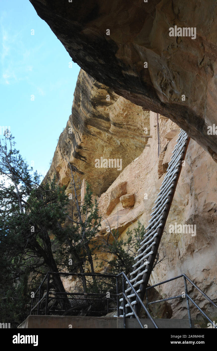 Balkon Haus in Mesa Verde National Park, Colorado sind uralten Pueblo Ruinen. Ein Ranger Leitung Gruppe klettert eine der Seiten lange Leitern. Stockfoto