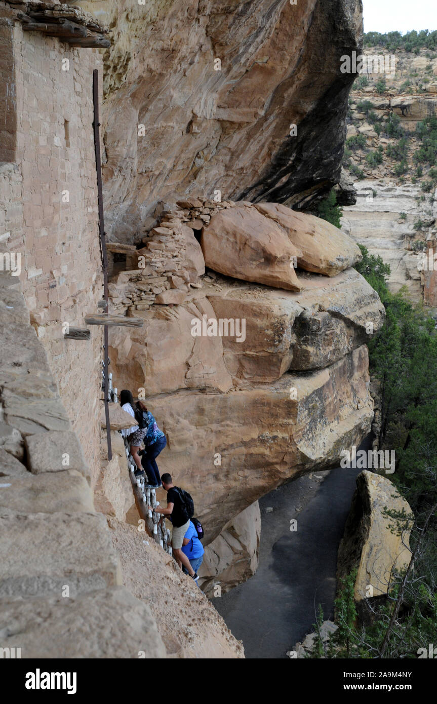 Balkon Haus in Mesa Verde National Park, Colorado sind uralten Pueblo Ruinen. Ein Ranger Leitung Gruppe klettert eine der Seiten lange Leitern. Stockfoto