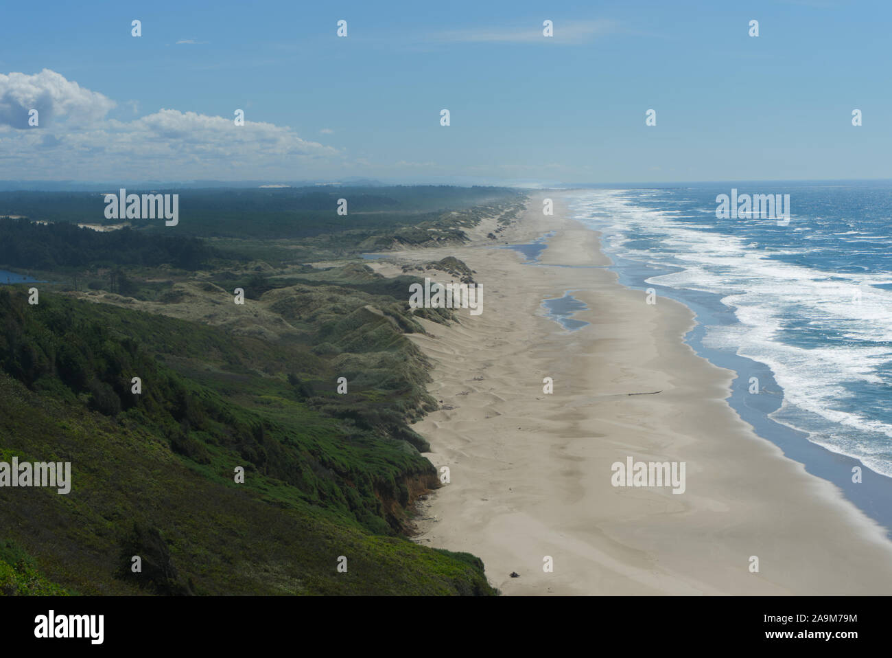 Sanddünen in der Nähe von Florence, Oregon Küste, Oregon, USA Stockfoto