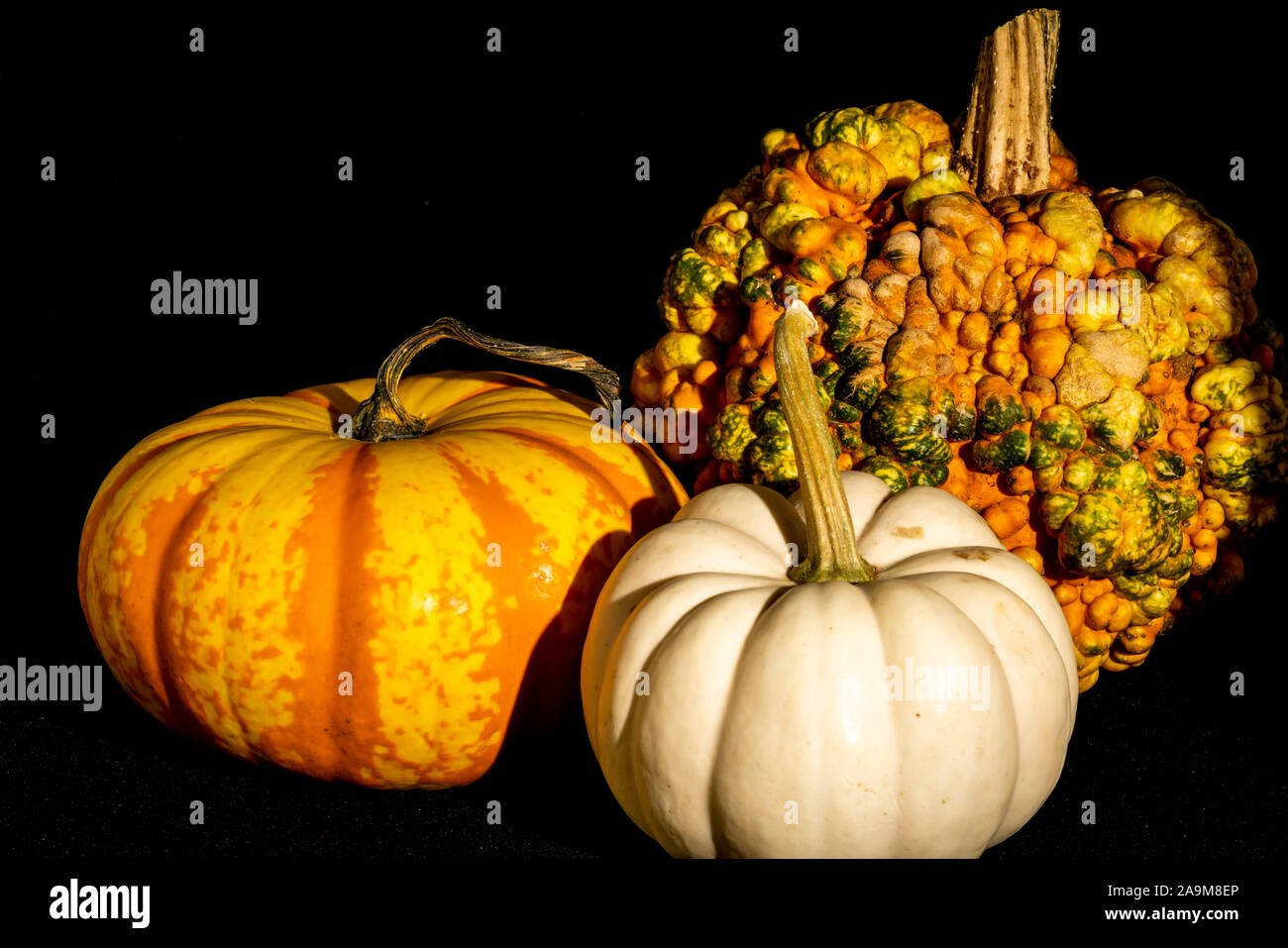 Kürbisse in allen Farben, Formen und Größen. Stockfoto