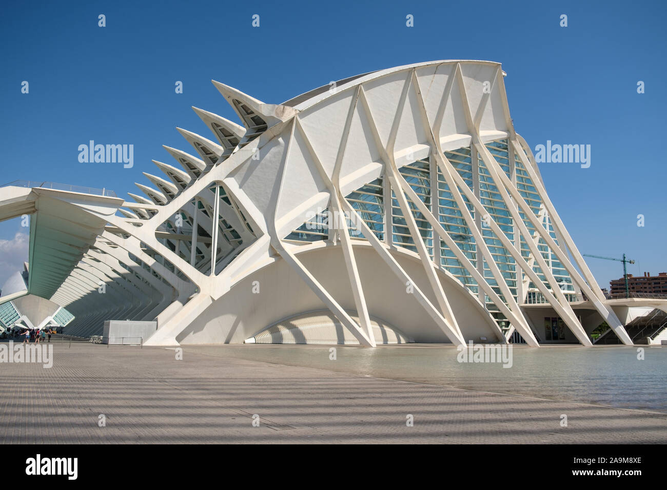 Museo de las Ciencias Príncipe Felipe (Science Museum Prinz Felipe), in der Stadt der Künste und Wissenschaften in Valencia, Spanien Stockfoto Museo de las Ciencias Príncipe Felipe (Science Museum Prinz Felipe), in der Stadt der Künste und Wissenschaften in Valencia, Spanien Stockfoto