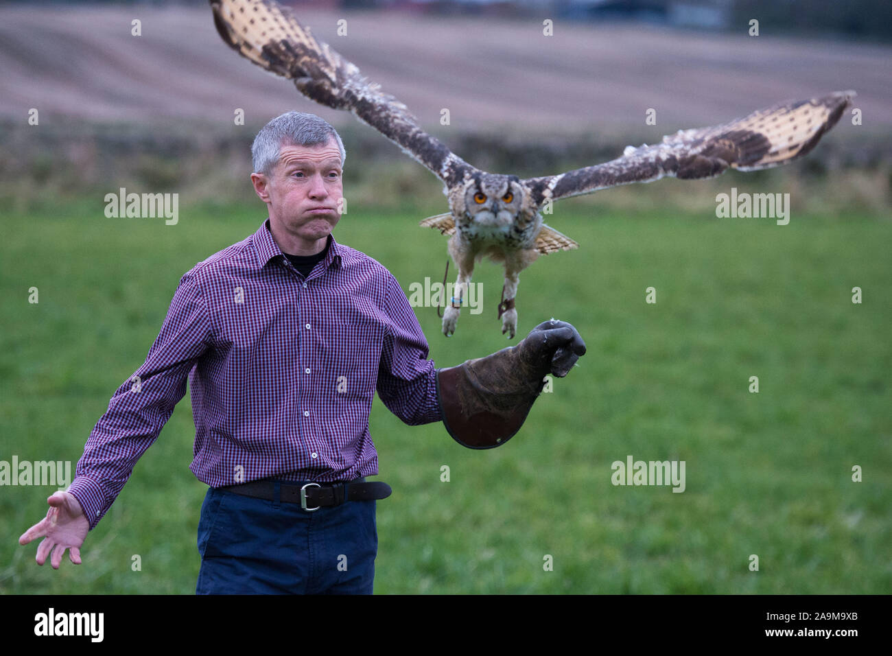 Glasgow, UK. 16. November 2019. Im Bild: Willie Rennie MSP-Führer der schottischen Liberaldemokratischen Partei, mit Salbei die Eule posieren. Schottische Liberaldemokraten Willie Rennie besucht die Falknerei in Cluny die Bedrohung Brexit auf die Umwelt und die Artenvielfalt stellt zu markieren. Credit: Colin Fisher/Alamy leben Nachrichten Stockfoto