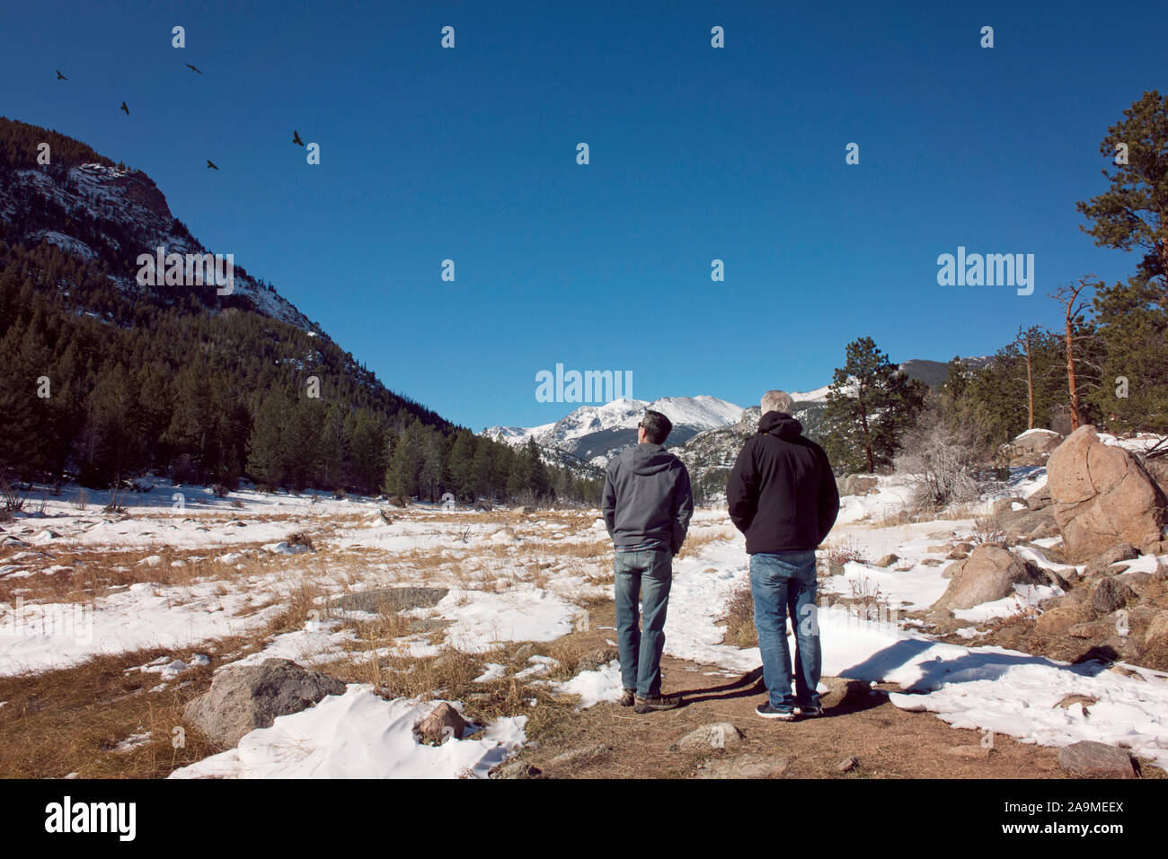 Zwei Männer beobachten Vögel in den Rocky Mountains an einem sonnigen Tag Stockfoto
