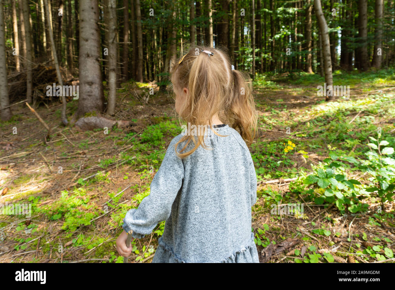 Kind, Mädchen zu Fuß in den Pinienwald Stockfoto
